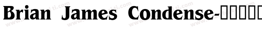 Brian James Condense字体转换